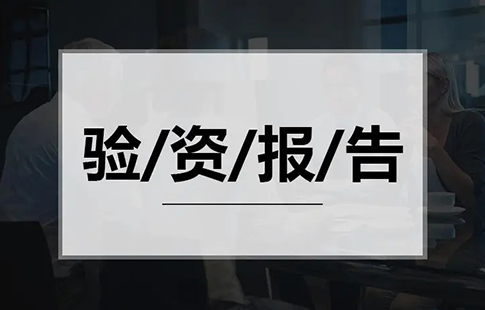 验资报告